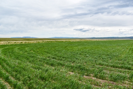 Central Montana Farm Ground, Investment near Lewistown, MT - image 32