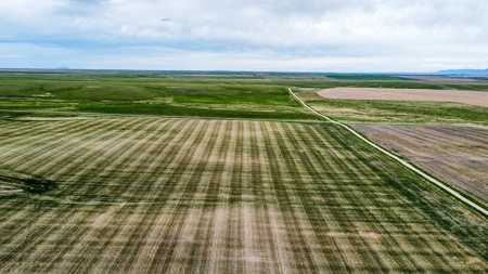 Central Montana Farm Ground, Investment near Lewistown, MT - image 19