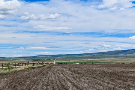 Central Montana Farm Ground, Investment near Lewistown, MT - image 40