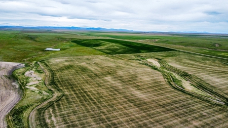 Central Montana Farm Ground, Investment near Lewistown, MT - image 21