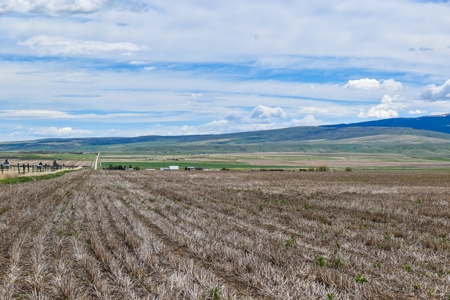Central Montana Farm Ground, Investment near Lewistown, MT - image 39