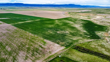 Central Montana Farm Ground, Investment near Lewistown, MT - image 3