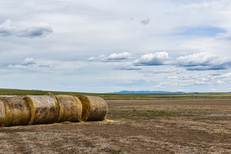 Central Montana Farm Ground, Investment near Lewistown, MT - image 50