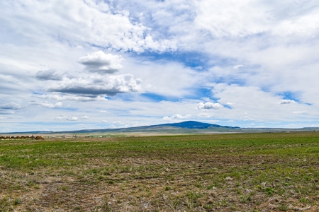 Central Montana Farm Ground, Investment near Lewistown, MT - image 48