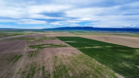 Central Montana Farm Ground, Investment near Lewistown, MT - image 7