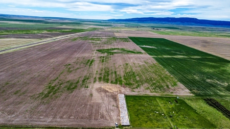 Central Montana Farm Ground, Investment near Lewistown, MT - image 8