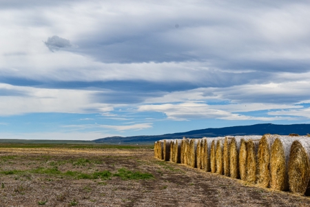 Central Montana Farm Ground, Investment near Lewistown, MT - image 41