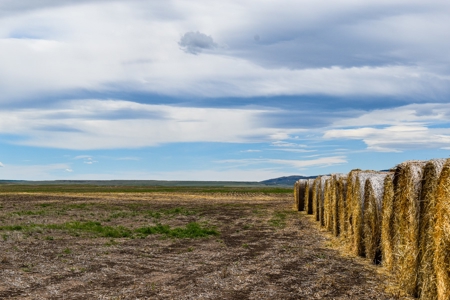 Central Montana Farm Ground, Investment near Lewistown, MT - image 42