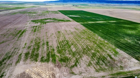 Central Montana Farm Ground, Investment near Lewistown, MT - image 12