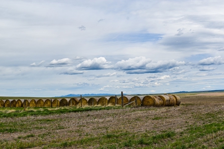 Central Montana Farm Ground, Investment near Lewistown, MT - image 49