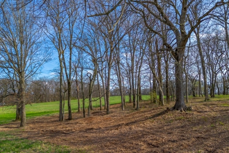 Land for Sale in Maury County Tennessee - image 12