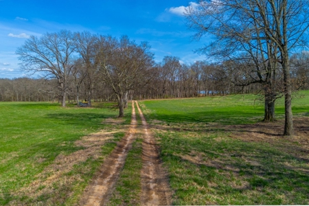 Land for Sale in Maury County Tennessee - image 25