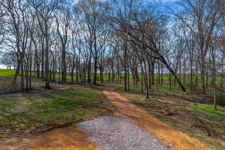 Land for Sale in Maury County Tennessee - image 28