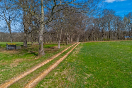 Land for Sale in Maury County Tennessee - image 3