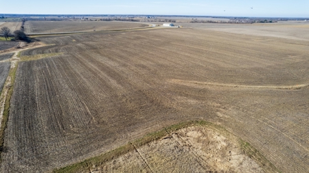 Prime Wapello County Farm Land For Sale - image 4