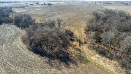 Prime Wapello County Farm Land For Sale - image 8
