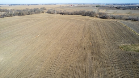 Prime Wapello County Farm Land For Sale - image 2