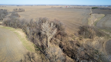 Prime Wapello County Farm Land For Sale - image 7