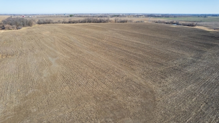 Prime Wapello County Farm Land For Sale - image 3