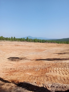 Off-Grid Cabin Building Site Overlooking Pond - image 8