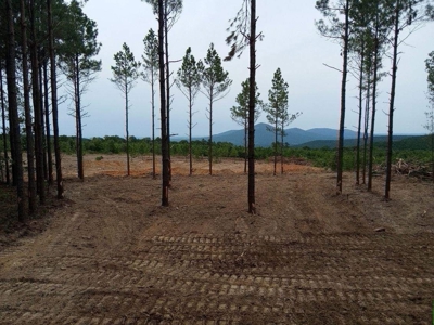 Off-Grid Cabin Building Site Overlooking Pond - image 2