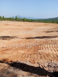 Off-Grid Cabin Building Site Overlooking Pond - image 12