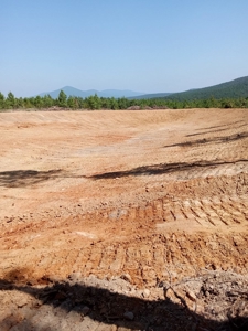 Off-Grid Cabin Building Site Overlooking Pond - image 11