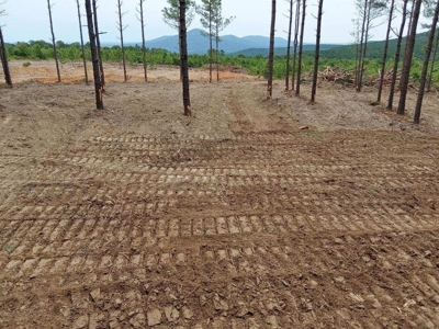 Off-Grid Cabin Building Site Overlooking Pond - image 3