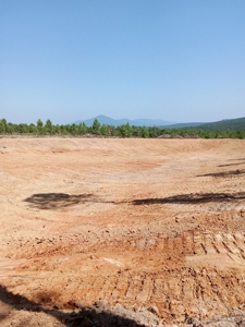 Off-Grid Cabin Building Site Overlooking Pond - image 10
