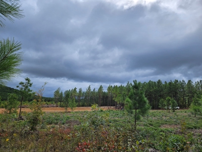 Off-Grid Cabin Building Site Overlooking Pond - image 6