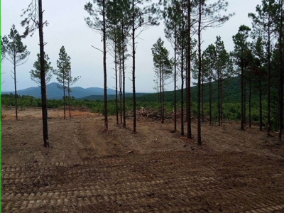 Off-Grid Cabin Building Site Overlooking Pond - image 1