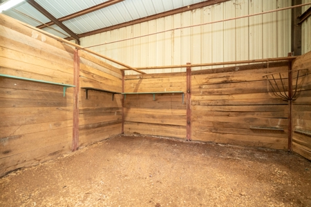 East Texas Equine Property - image 20