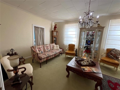 Storefront Business - image 21