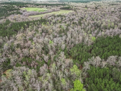 85 Acres of Recreational Hunting Land with Hardwood Timber - image 9