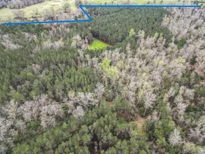 85 Acres of Recreational Hunting Land with Hardwood Timber - image 5