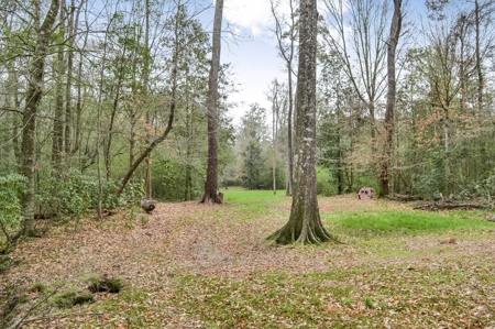 85 Acres of Recreational Hunting Land with Hardwood Timber - image 26