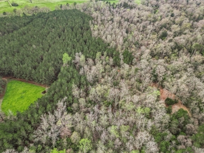 85 Acres of Recreational Hunting Land with Hardwood Timber - image 7