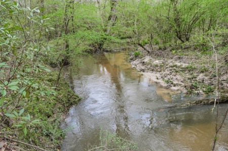 85 Acres of Recreational Hunting Land with Hardwood Timber - image 20