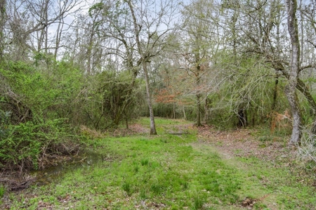 85 Acres of Recreational Hunting Land with Hardwood Timber - image 18