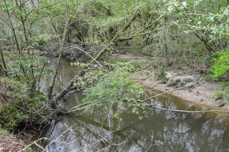 85 Acres of Recreational Hunting Land with Hardwood Timber - image 38