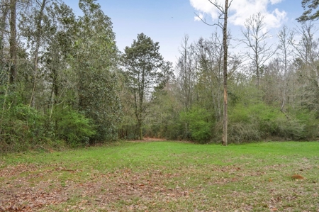 85 Acres of Recreational Hunting Land with Hardwood Timber - image 25