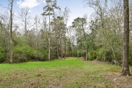 85 Acres of Recreational Hunting Land with Hardwood Timber - image 24