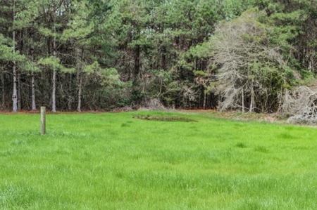 85 Acres of Recreational Hunting Land with Hardwood Timber - image 44