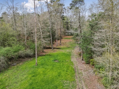 85 Acres of Recreational Hunting Land with Hardwood Timber - image 1