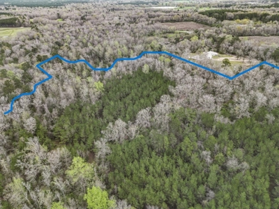 85 Acres of Recreational Hunting Land with Hardwood Timber - image 10