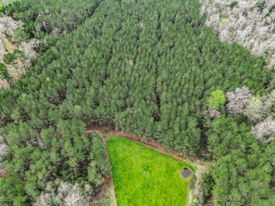 85 Acres of Recreational Hunting Land with Hardwood Timber - image 12