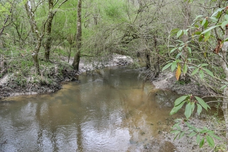 85 Acres of Recreational Hunting Land with Hardwood Timber - image 39
