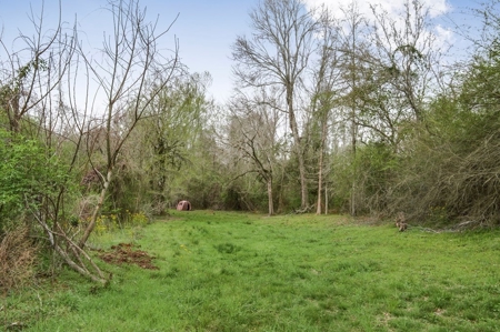 85 Acres of Recreational Hunting Land with Hardwood Timber - image 17