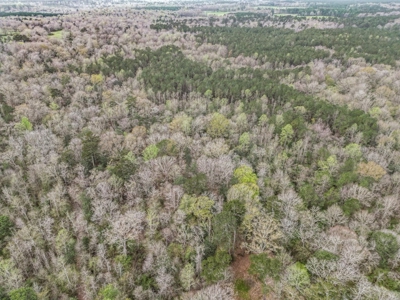 85 Acres of Recreational Hunting Land with Hardwood Timber - image 4