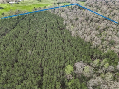 85 Acres of Recreational Hunting Land with Hardwood Timber - image 8